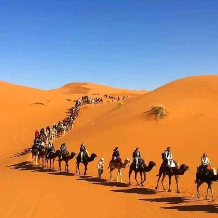 Отель Sahara Luxury Camp Vip Мерзуга Экстерьер фото