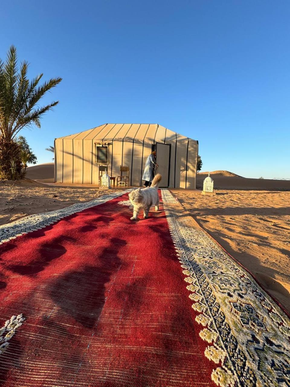 Отель Sahara Luxury Camp Vip Мерзуга Экстерьер фото