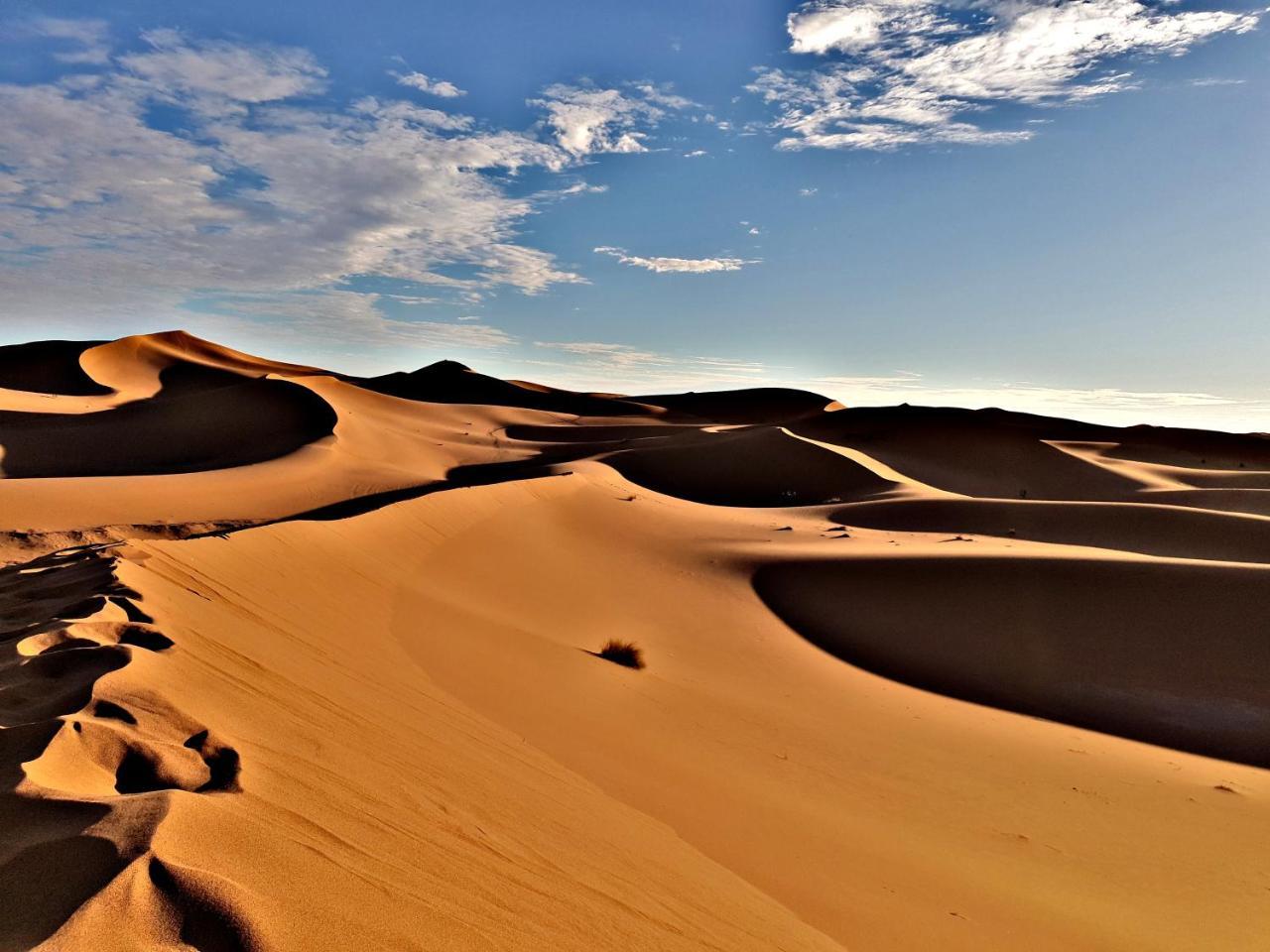 Отель Sahara Luxury Camp Vip Мерзуга Экстерьер фото